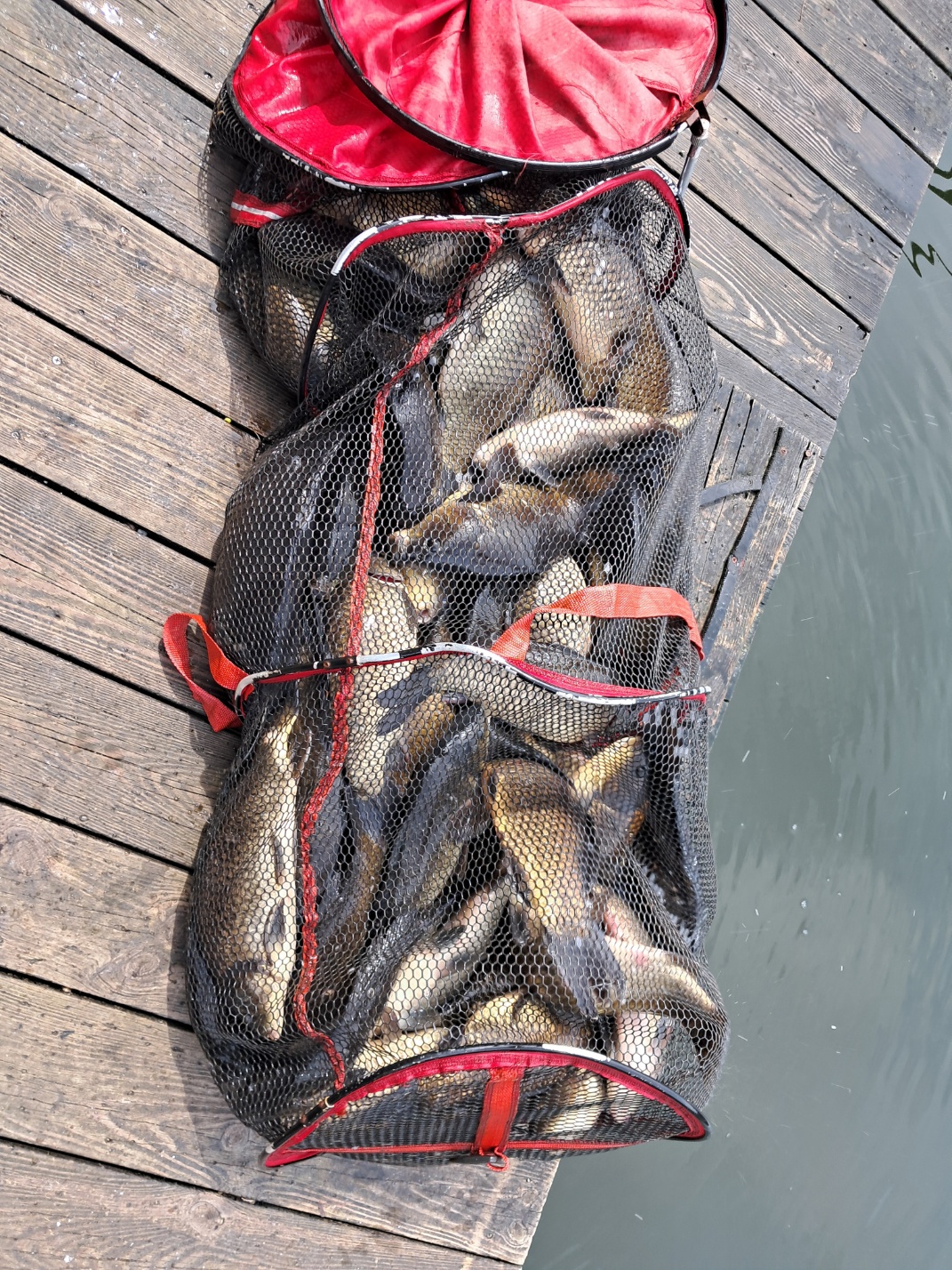 KakaoTalk_20250915_114213781_01.jpg