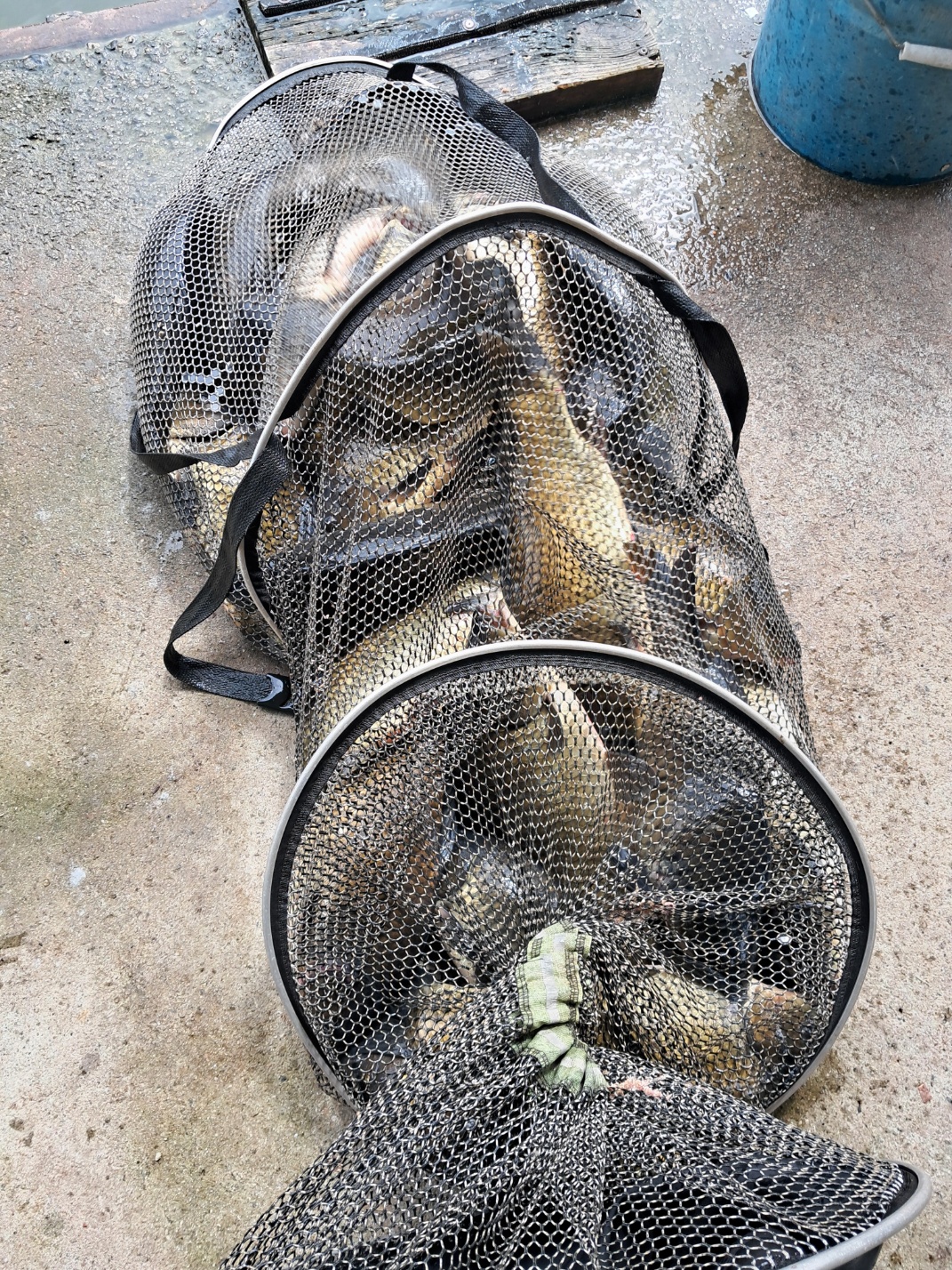 KakaoTalk_20250915_114213781_28.jpg