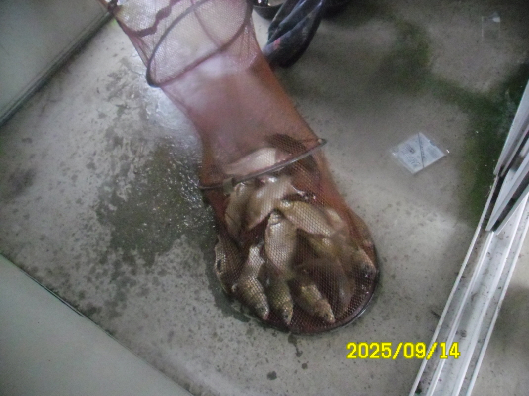SAM_5780.JPG