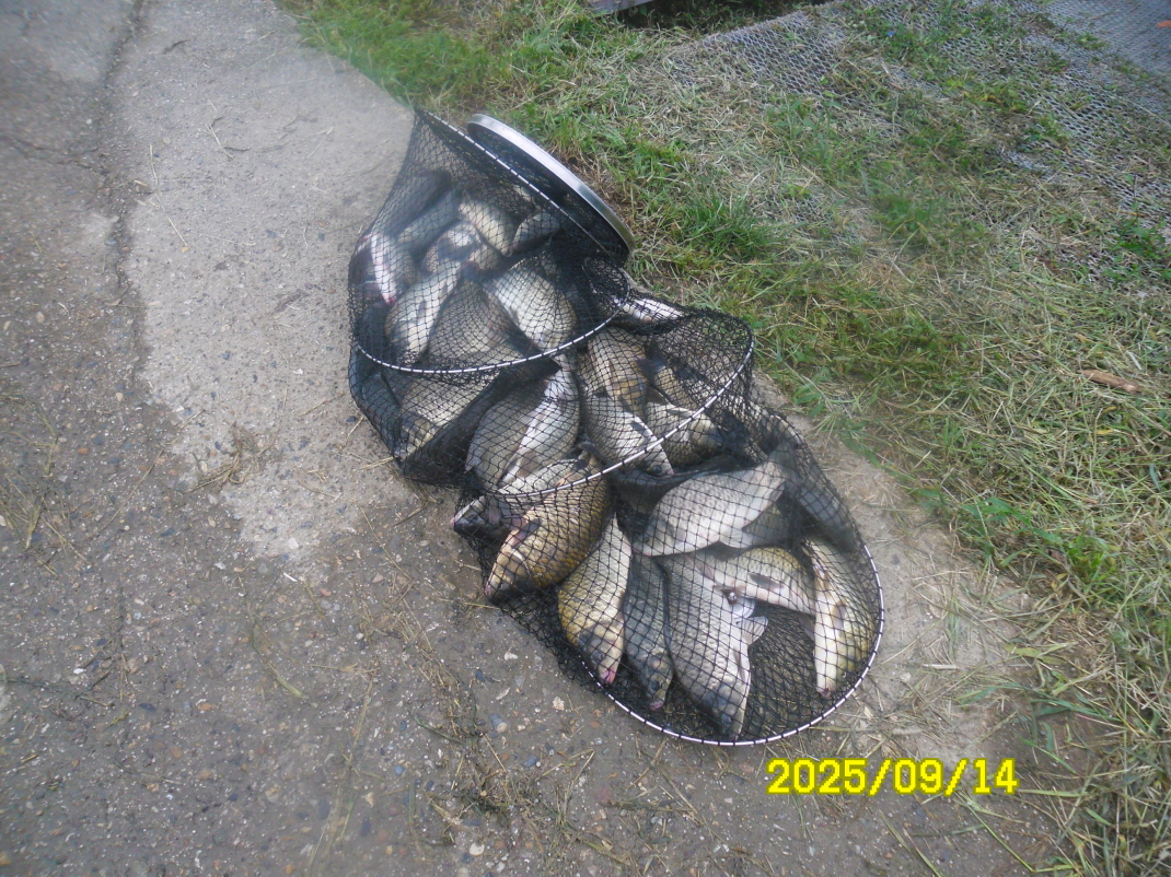 SAM_5805.JPG