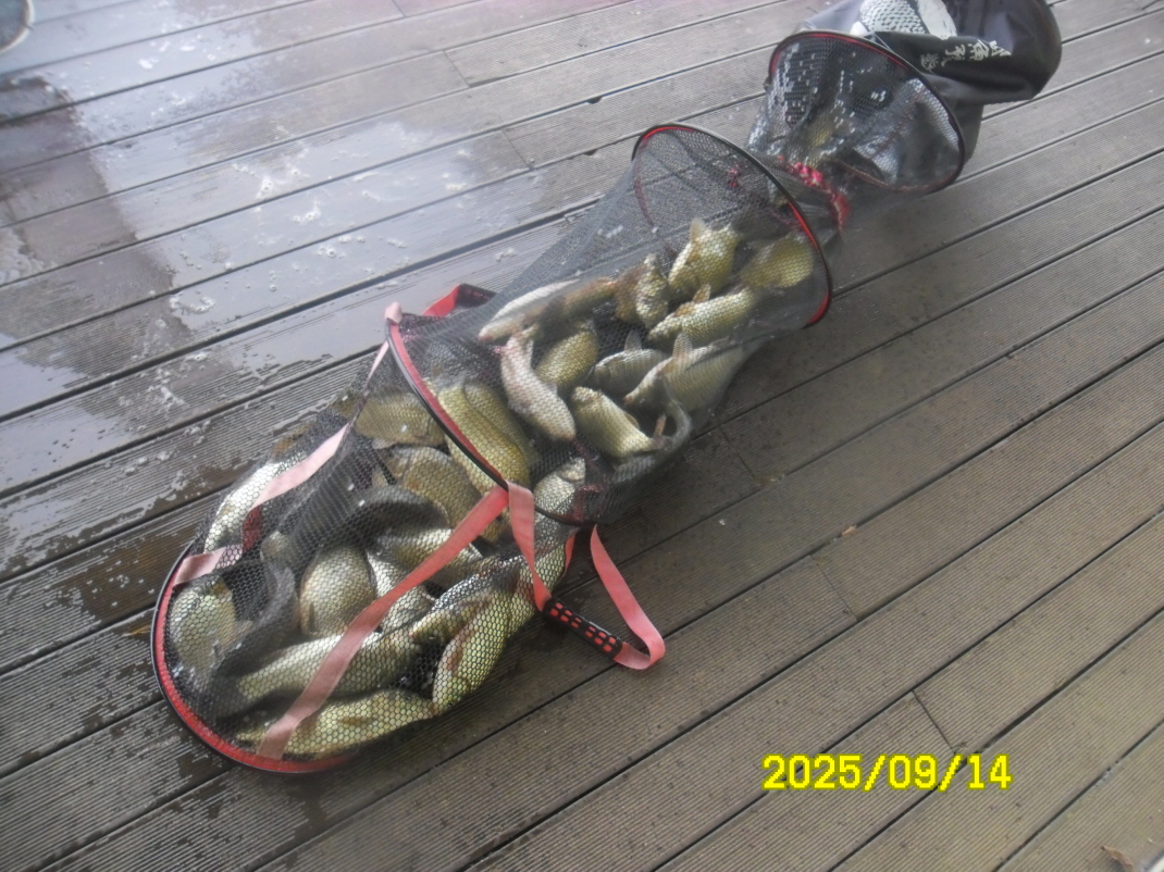 SAM_5845.JPG