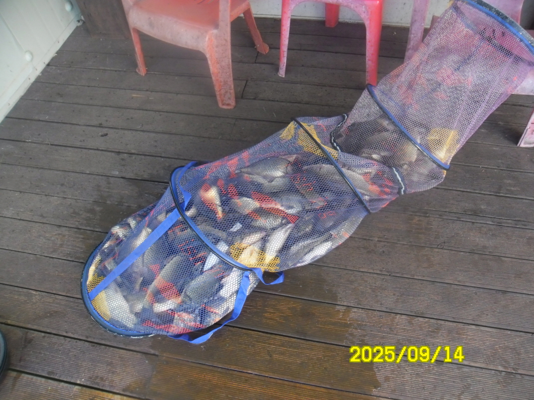 SAM_5860.JPG