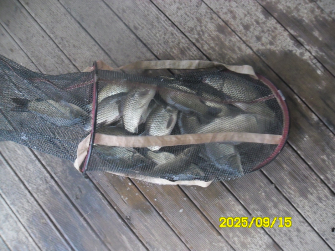 SAM_5880.JPG