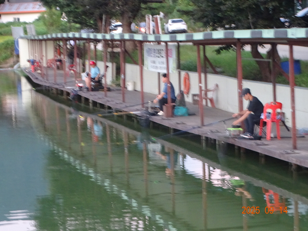 DSC06705.JPG