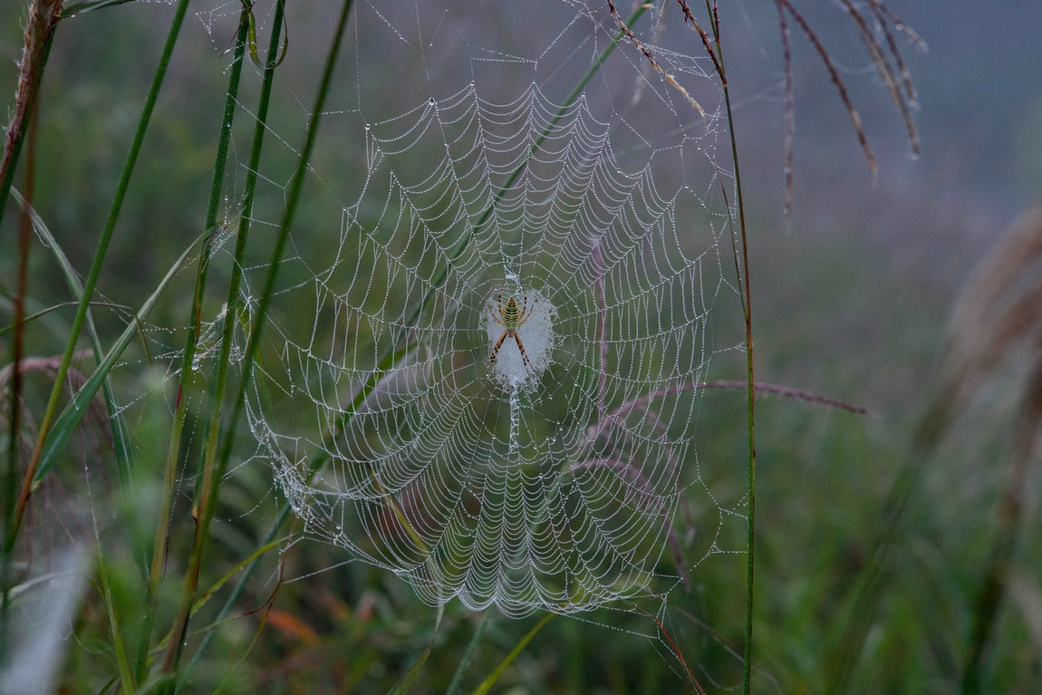 DSC01304.jpg