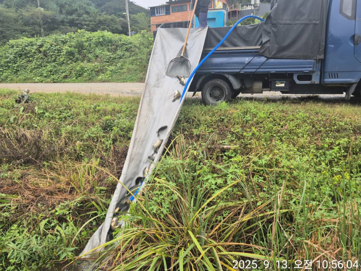 KakaoTalk_20250917_121944089_28.jpg