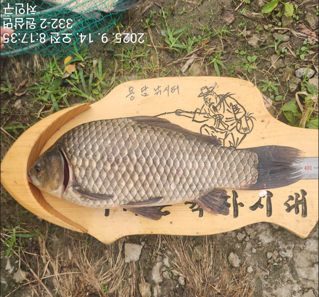 화면 캡처 2025-09-18 095242.png