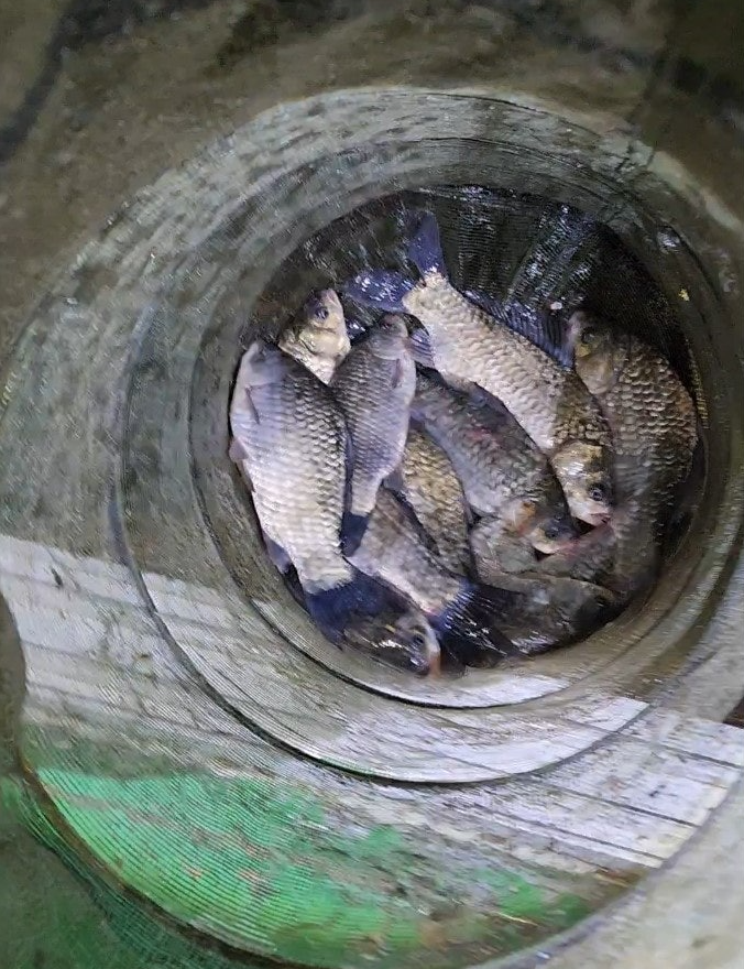 화면 캡처 2025-09-18 092530.png