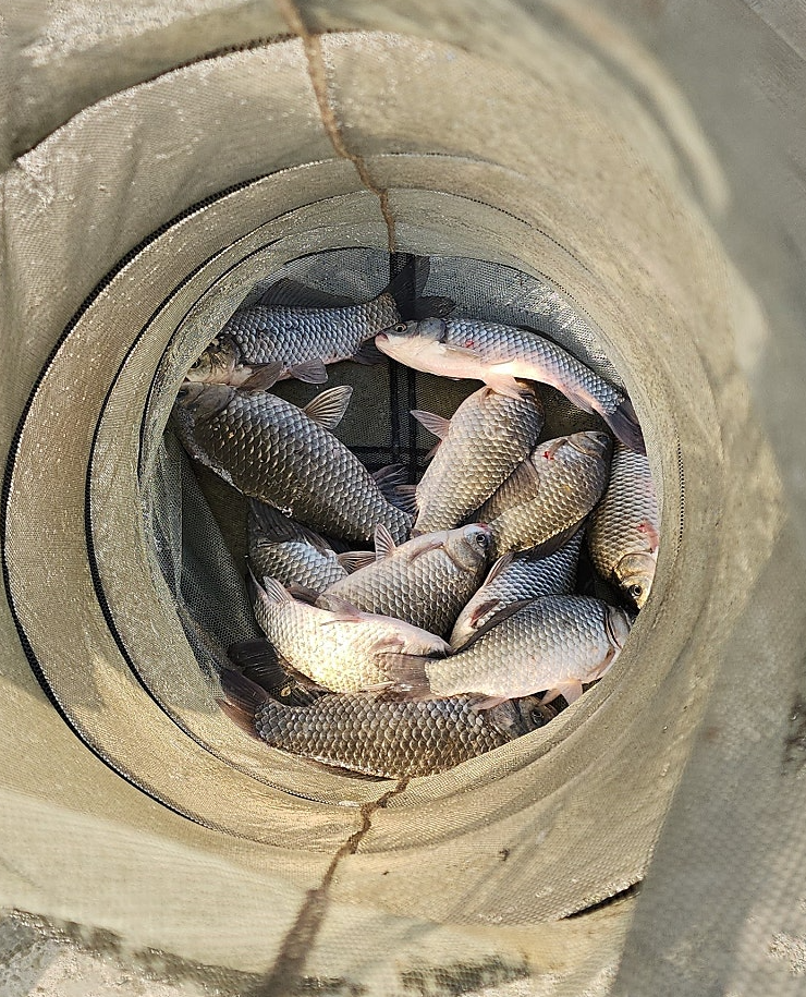 화면 캡처 2025-09-18 092641.png