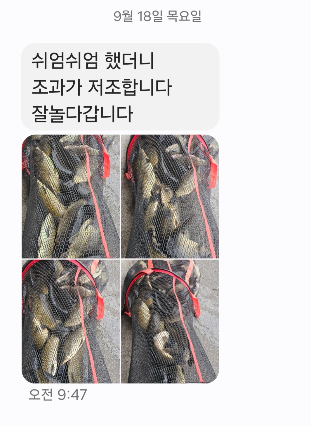 KakaoTalk_20250918_165827490.jpg