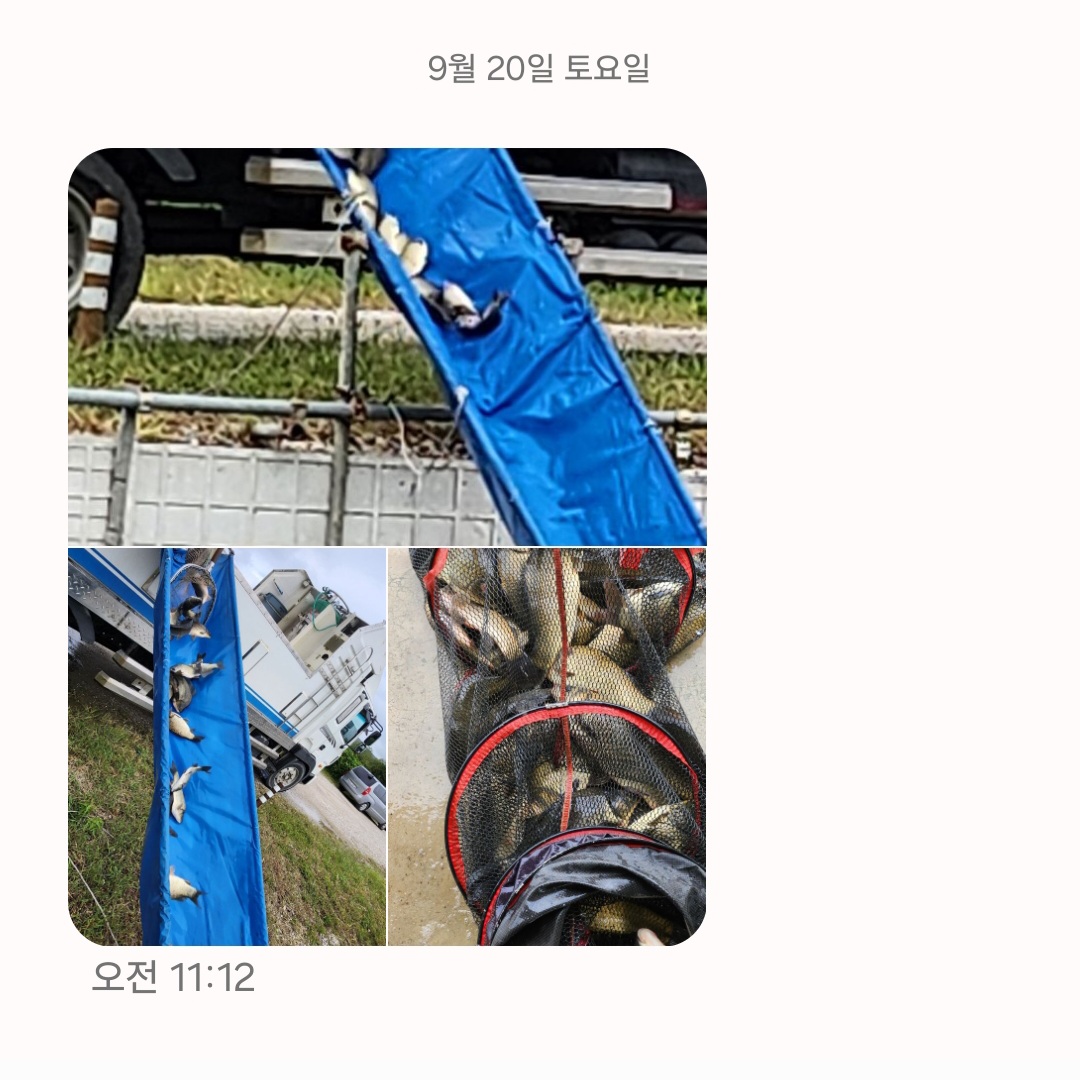 Screenshot_20250920_114654_Messages.jpg