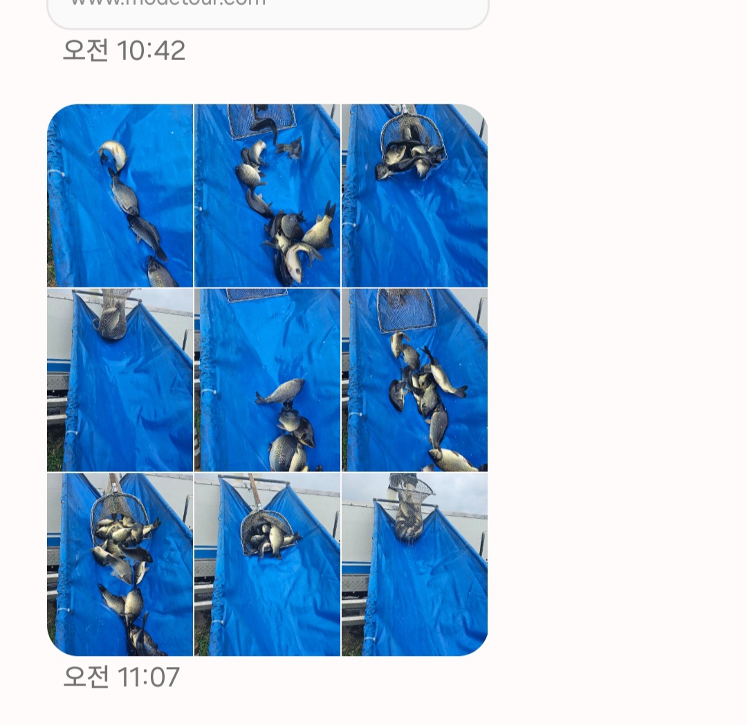 Screenshot_20250916_113216_Messages.jpg