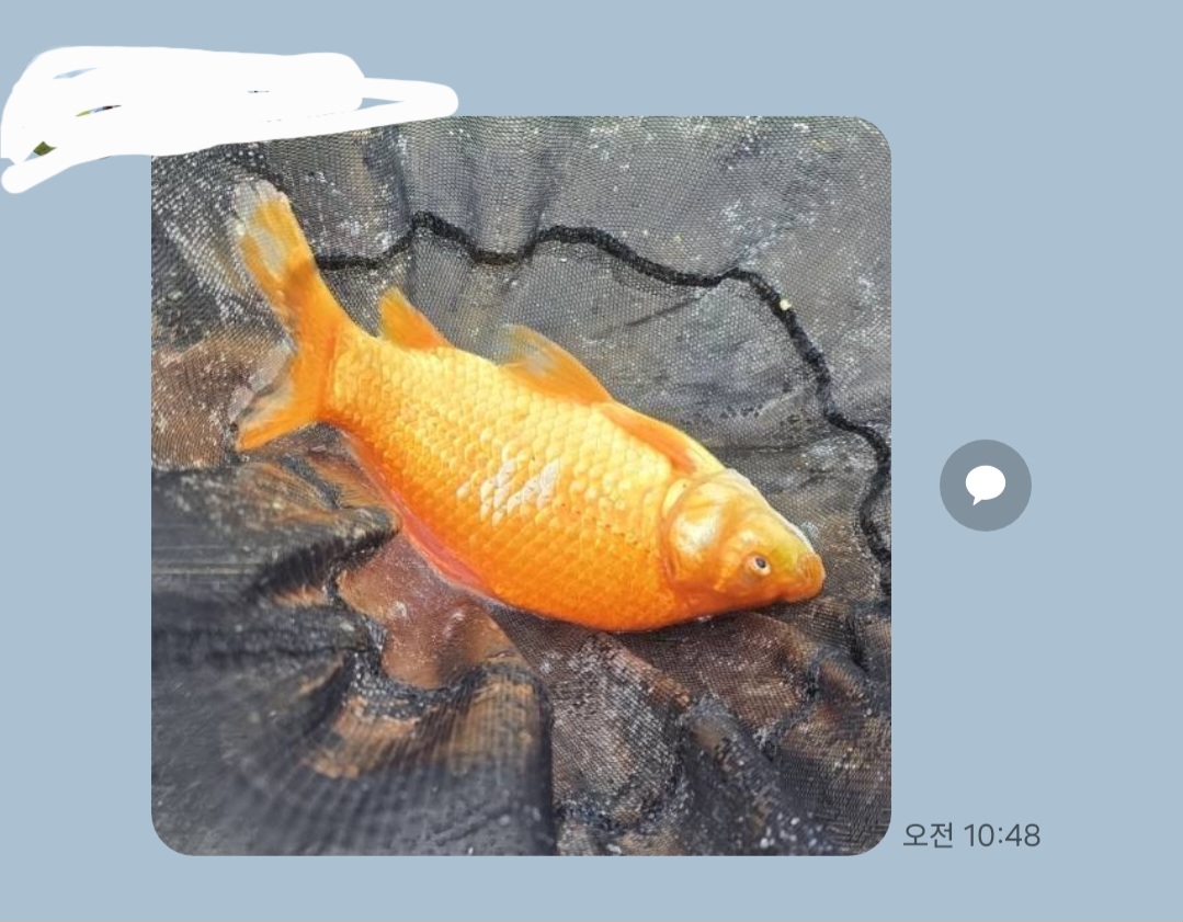 Screenshot_20250920_150543_KakaoTalk.jpg