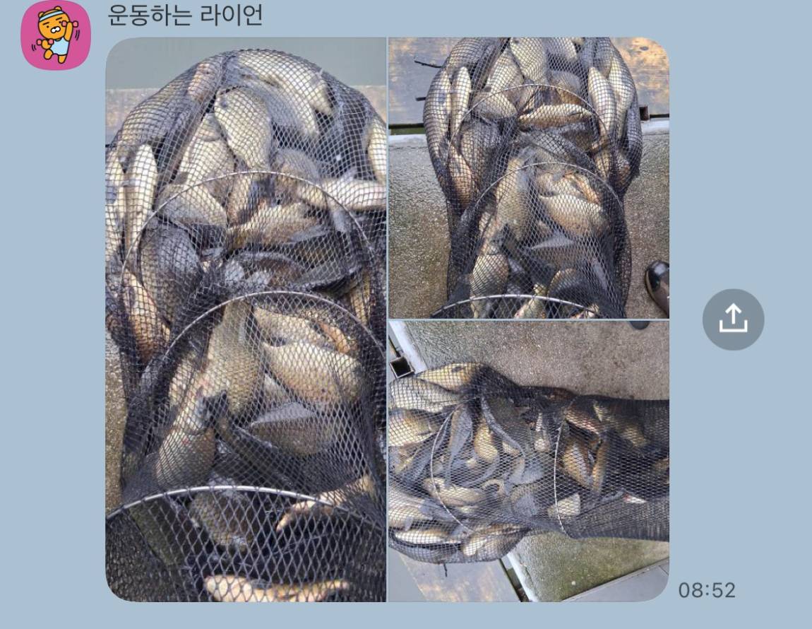 KakaoTalk_20250930_081811096_18.jpg