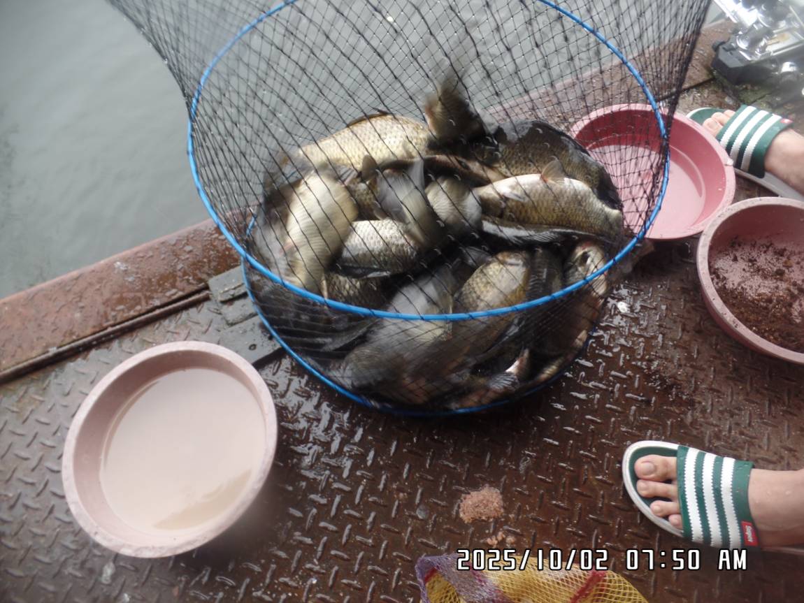 SAM_8943.JPG