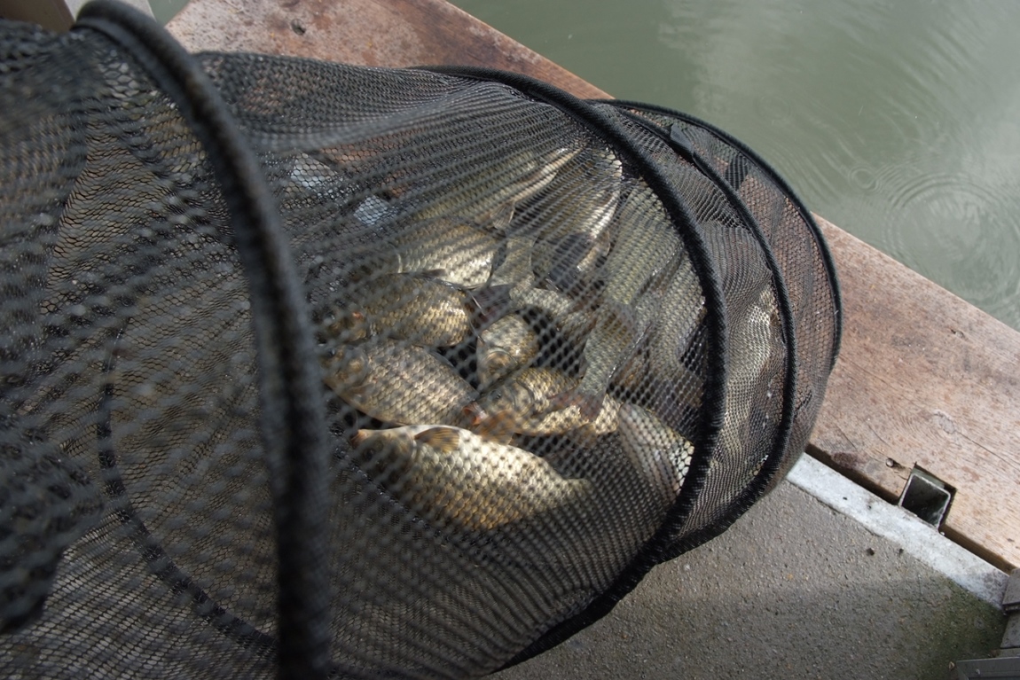 DSCF5218.JPG