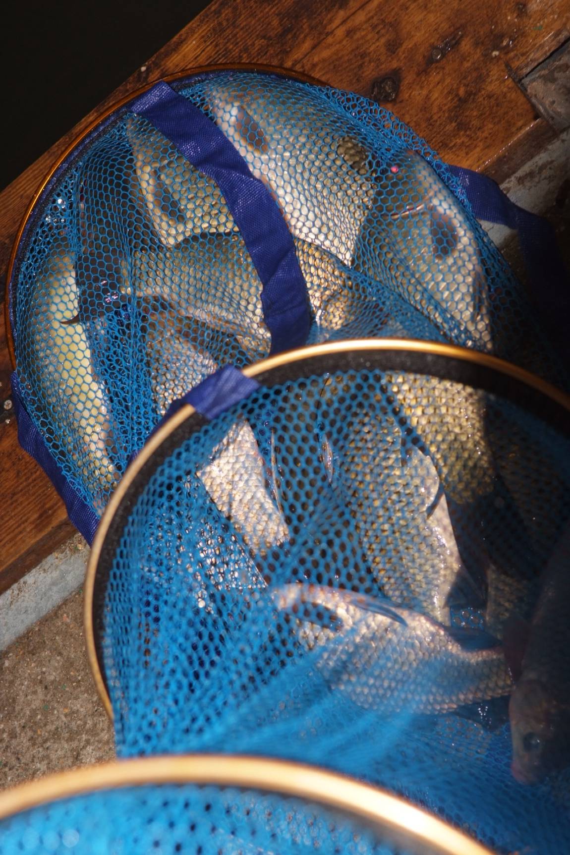 DSCF5245.JPG