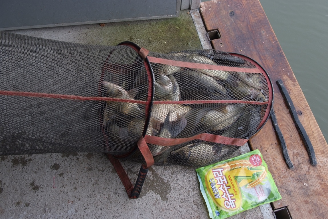 DSCF5251.JPG