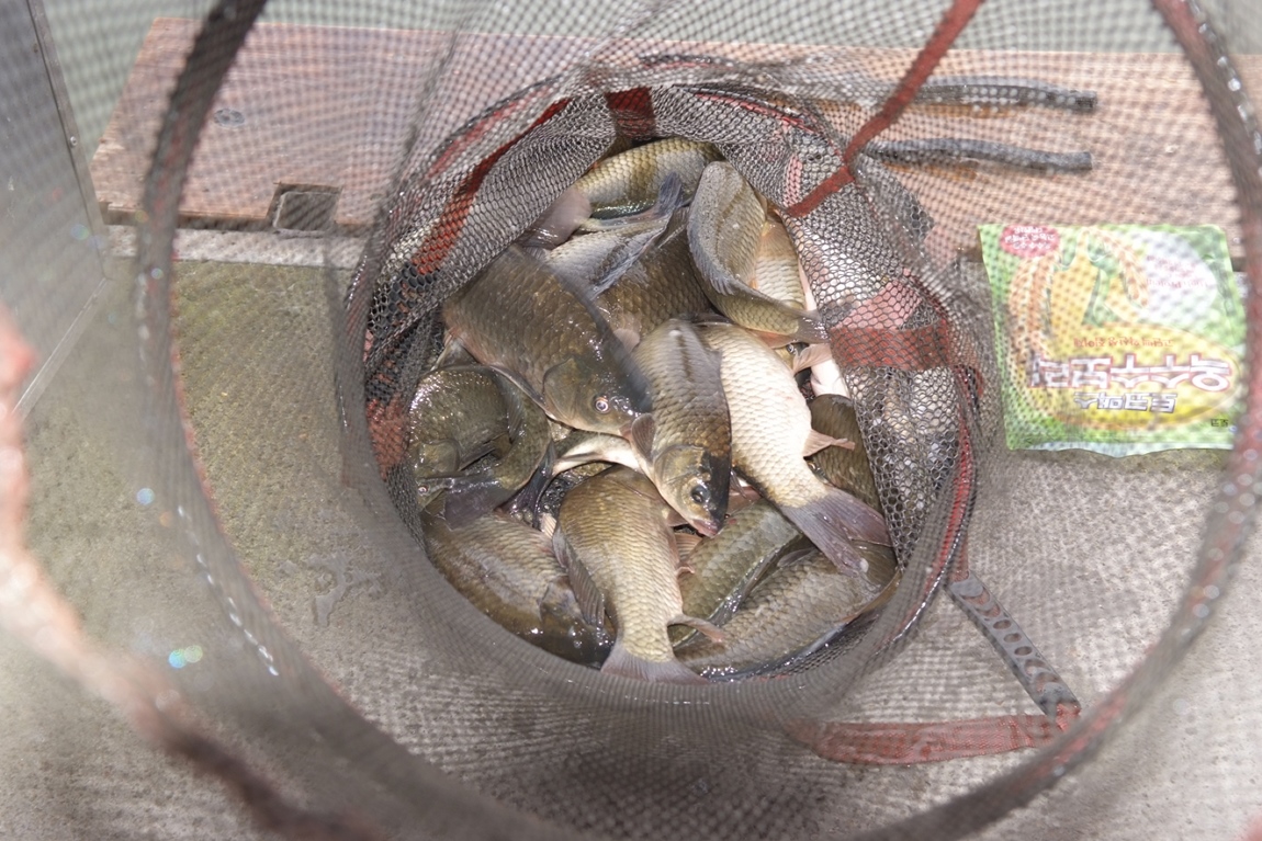 DSCF5254.JPG