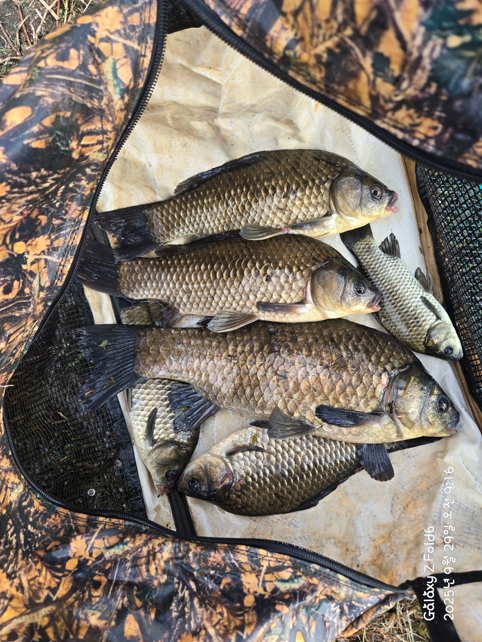 화면 캡처 2025-10-02 114144.png