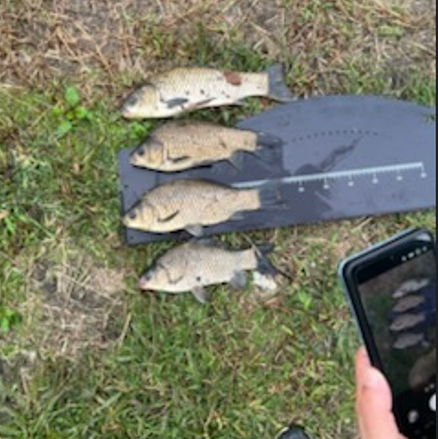 화면 캡처 2025-10-02 113119.png