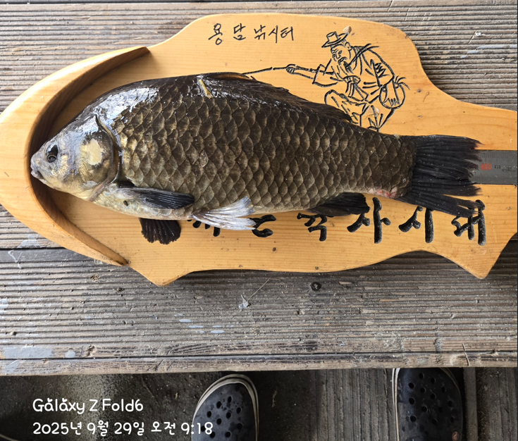 화면 캡처 2025-10-02 113259.png