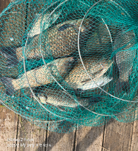 화면 캡처 2025-10-02 113332.png