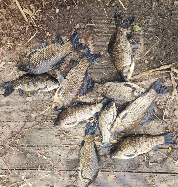 화면 캡처 2025-10-02 113409.png