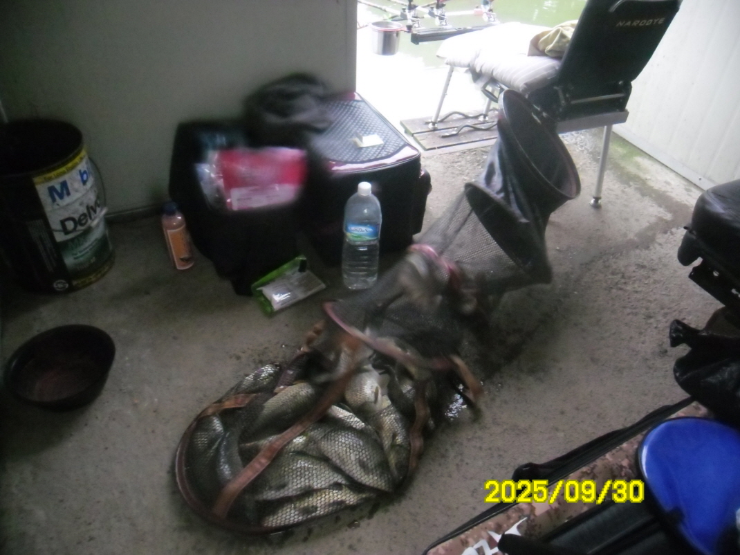 SAM_6350.JPG