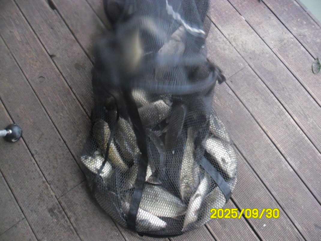 SAM_6348.JPG