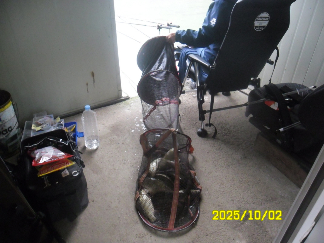 SAM_6395.JPG