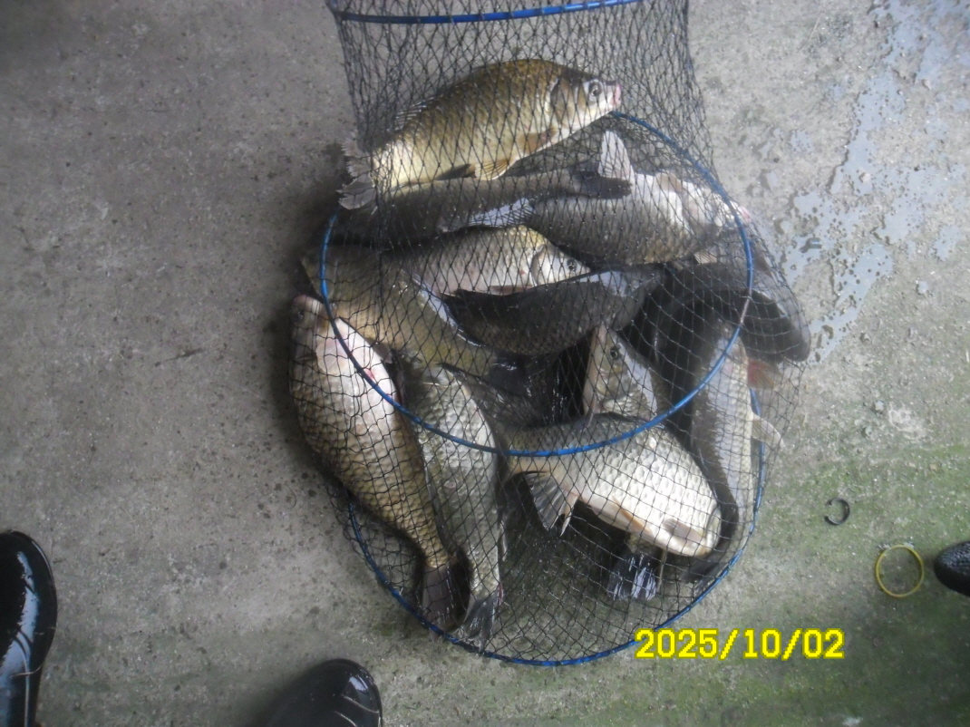 SAM_6400.JPG