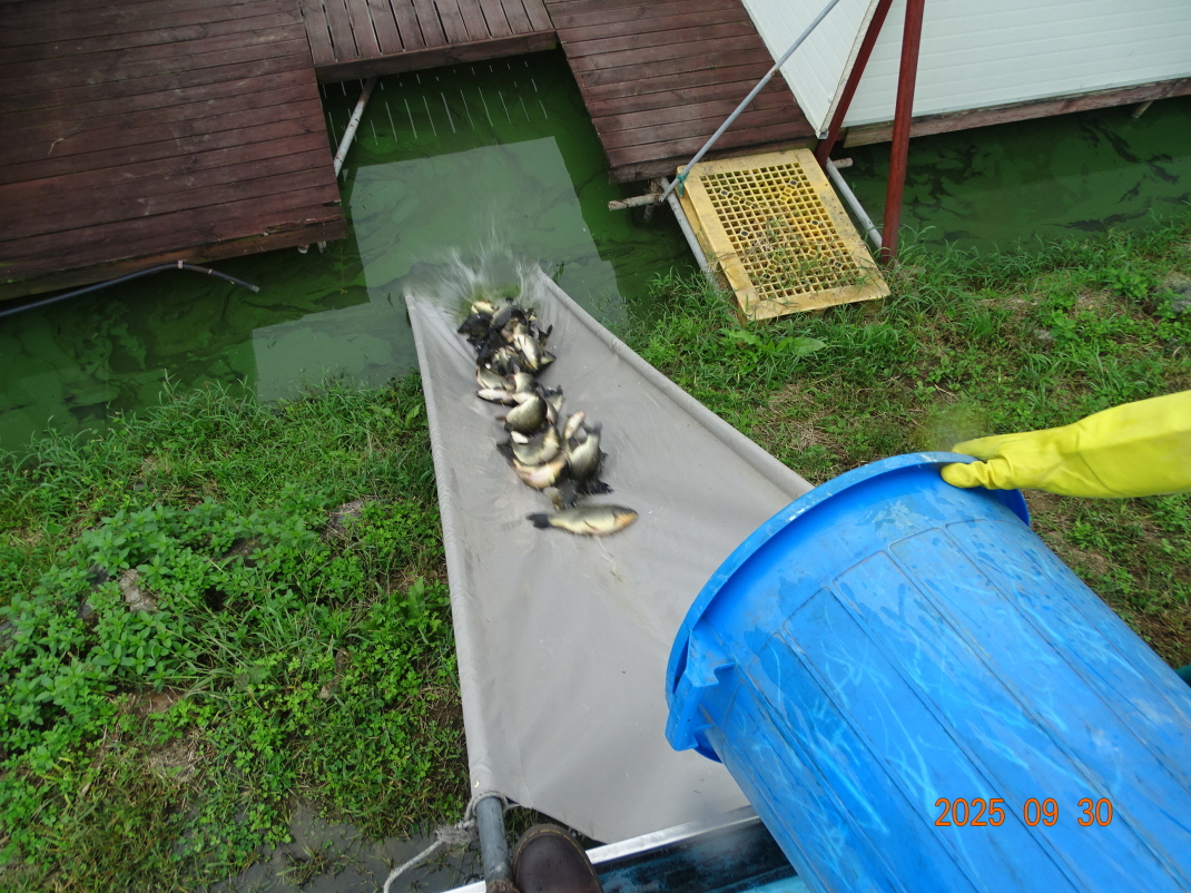 DSC07258.JPG