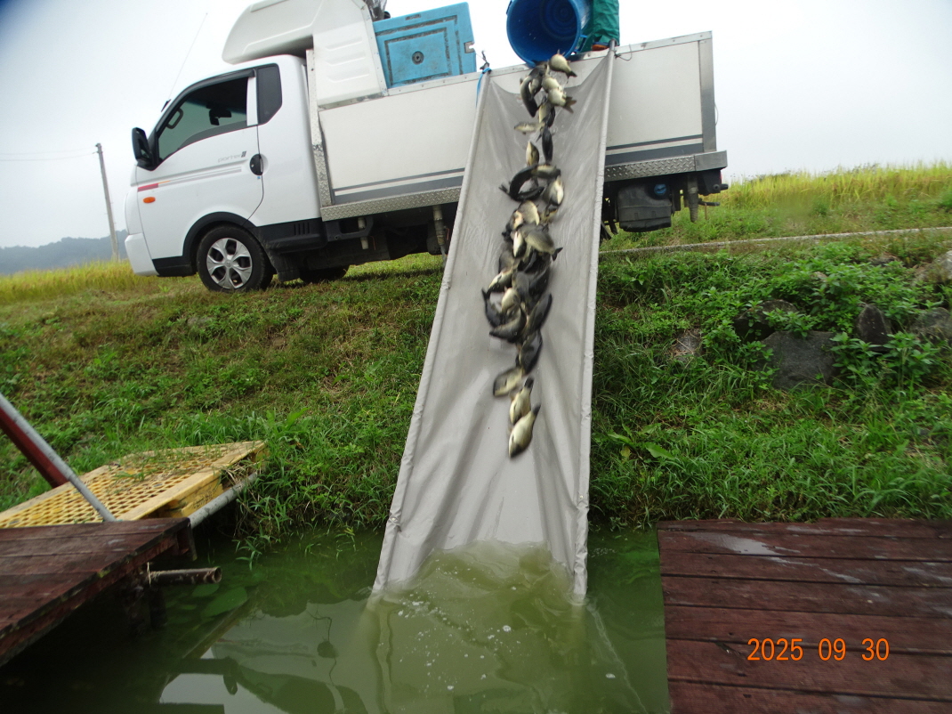 DSC07267.JPG