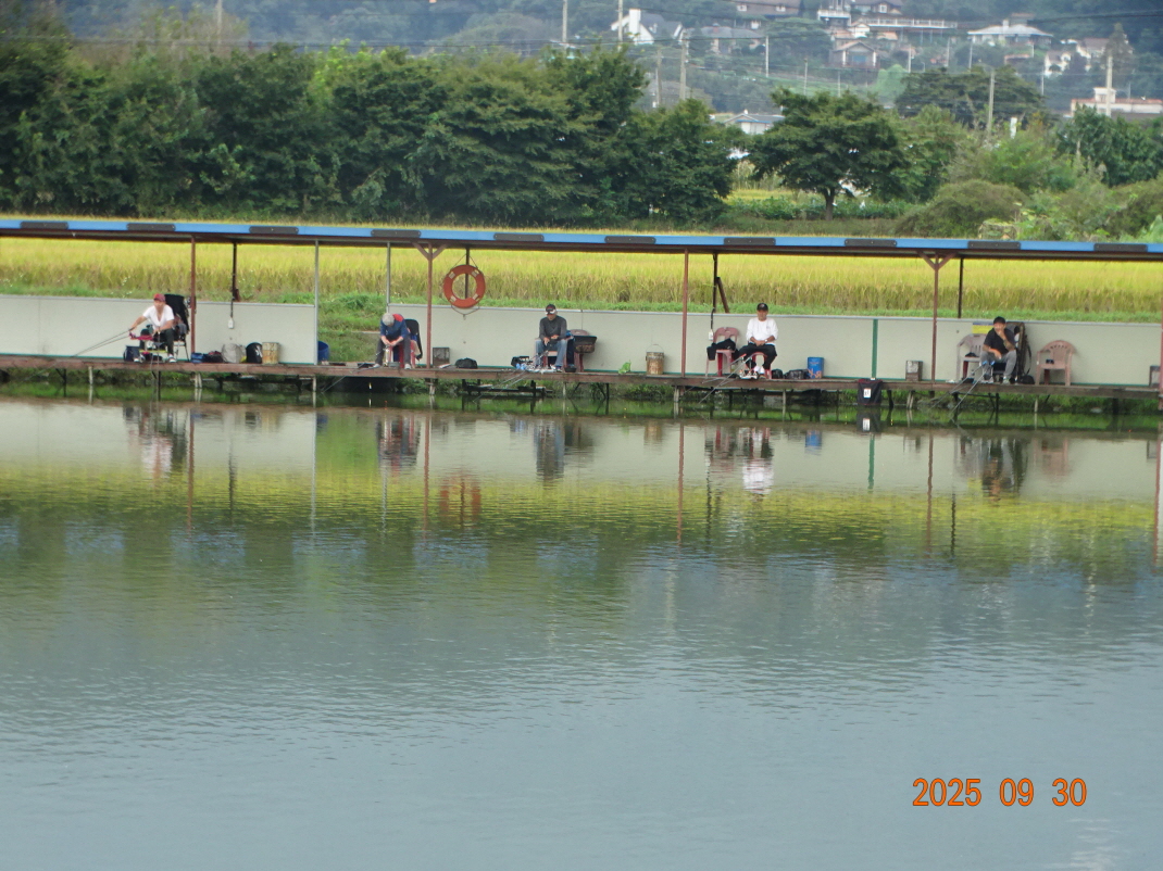 DSC07287.JPG