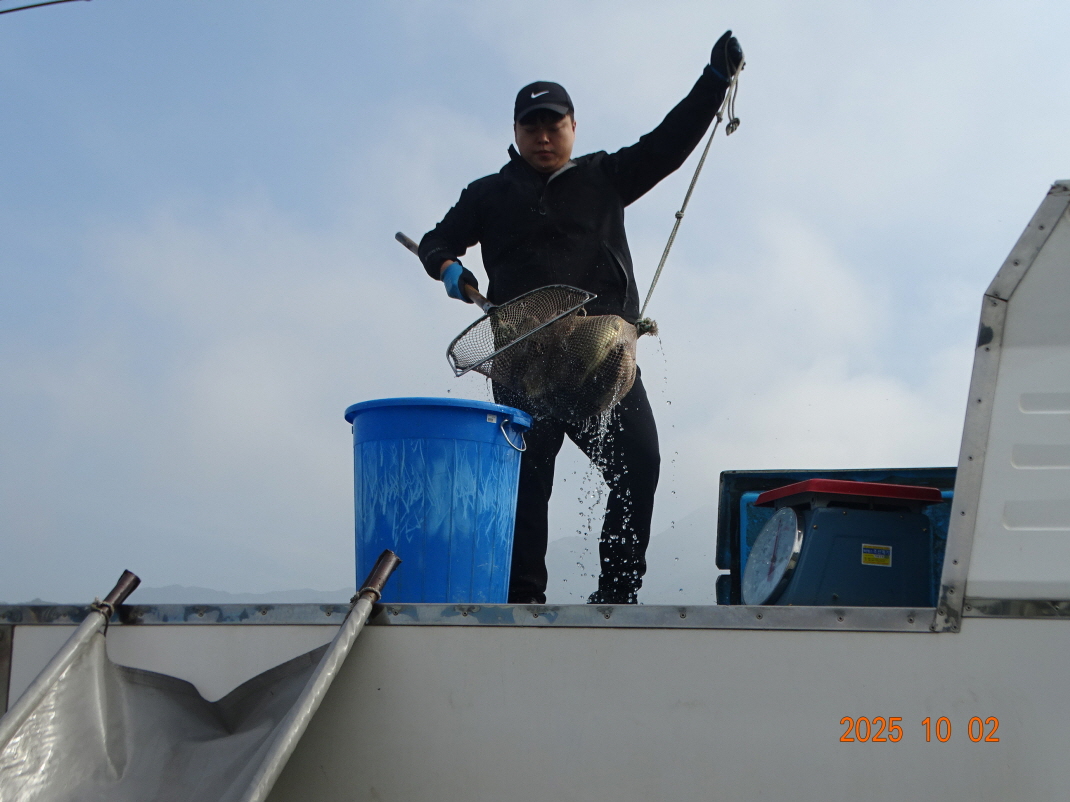 DSC07336.JPG