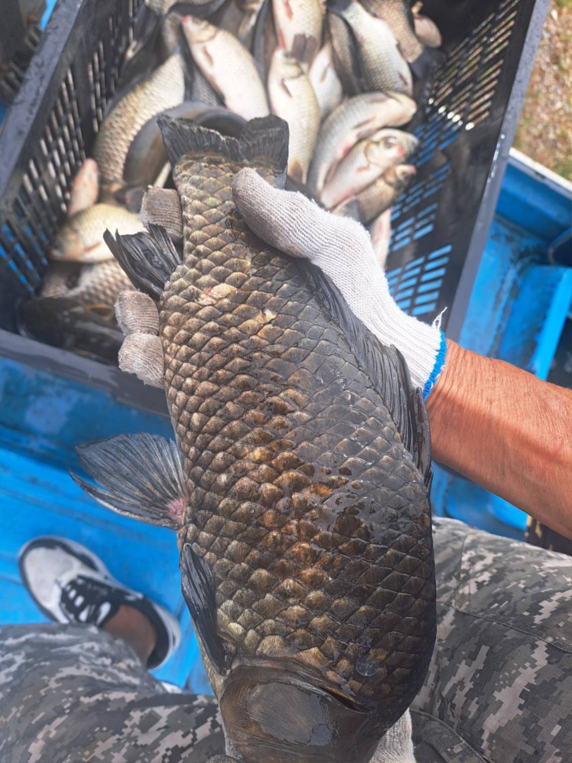 KakaoTalk_20251002_125935771_08.jpg