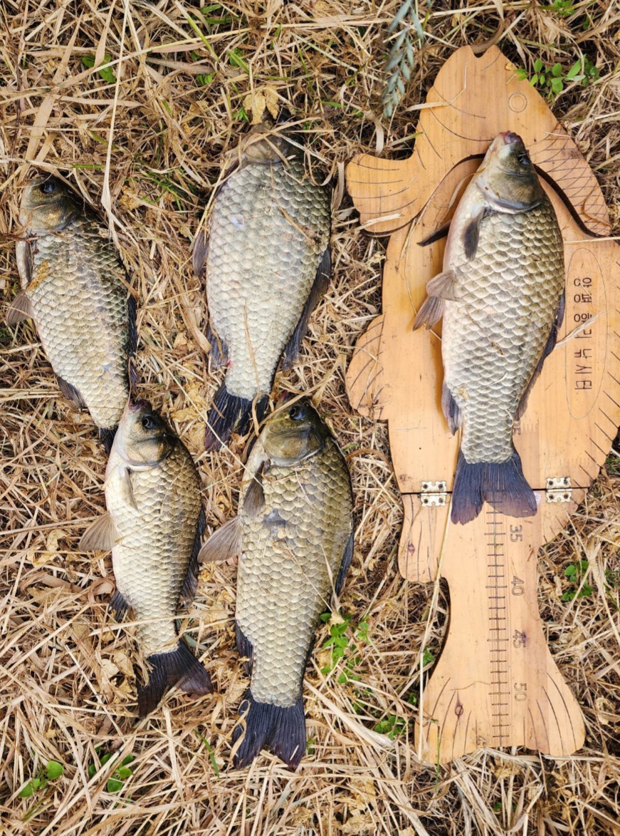 KakaoTalk_20251003_103815581_01.jpg