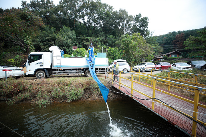 AE2I1259.jpg