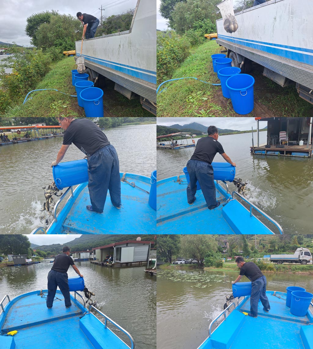 KakaoTalk_20251005_083305497_28 aa.jpg