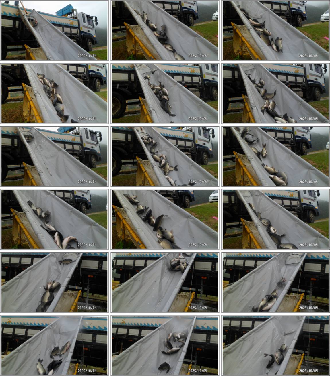 SAM_2147-tile.jpg