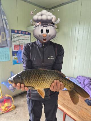 KakaoTalk_20251006_113010954_15.jpg