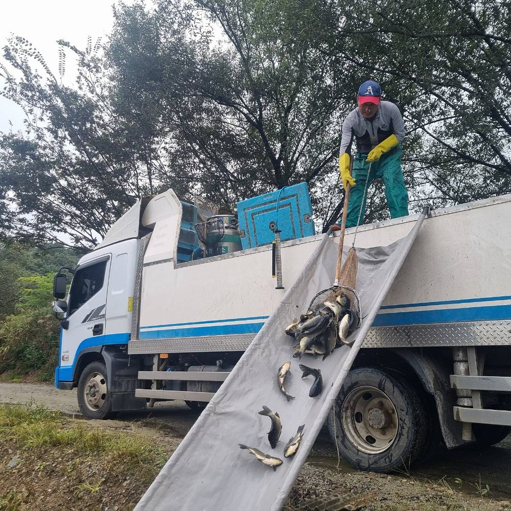 20251003_121221 (1).jpg