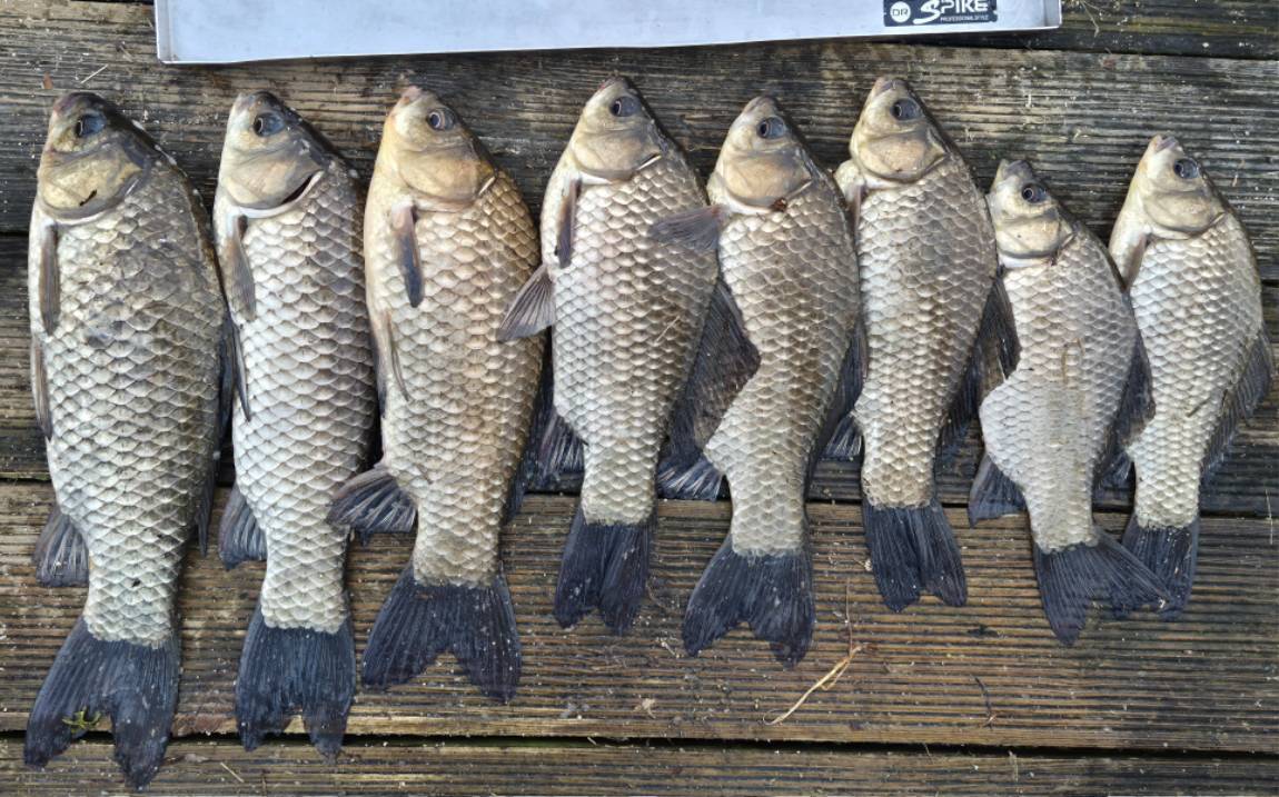 사진동영상-6 (1).jpg