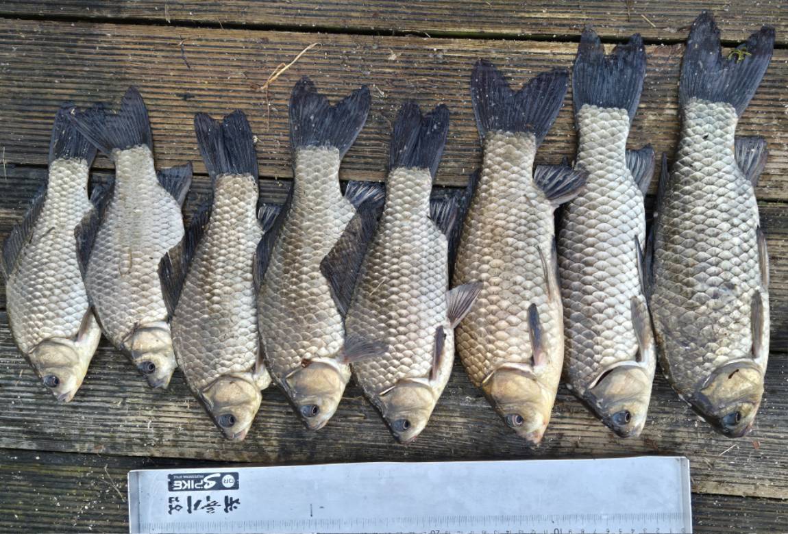 사진동영상-6 (2).jpg