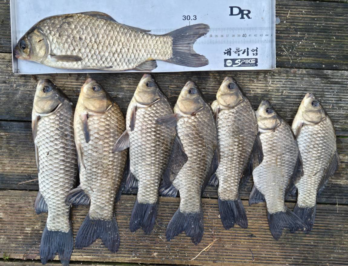 사진동영상-6 (3).jpg