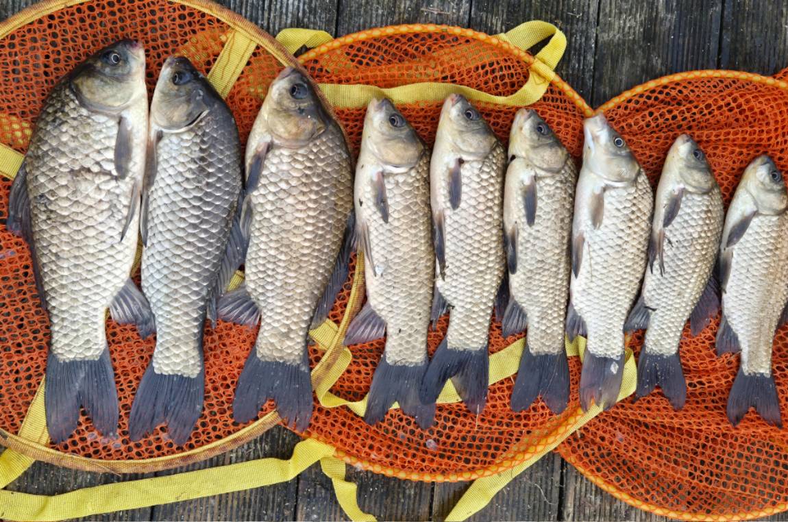 사진동영상3 (1).jpg