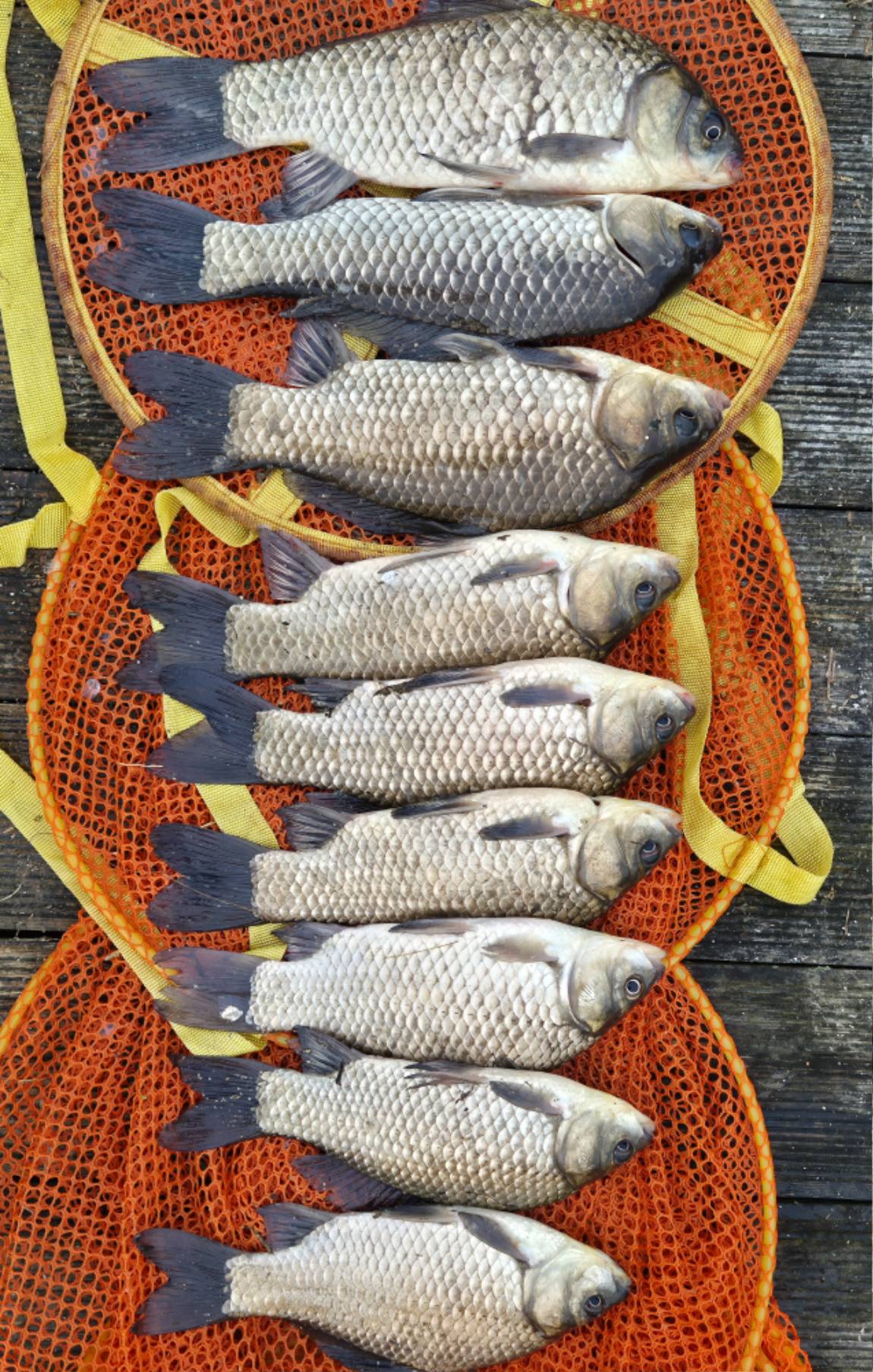 사진동영상3 (2).jpg