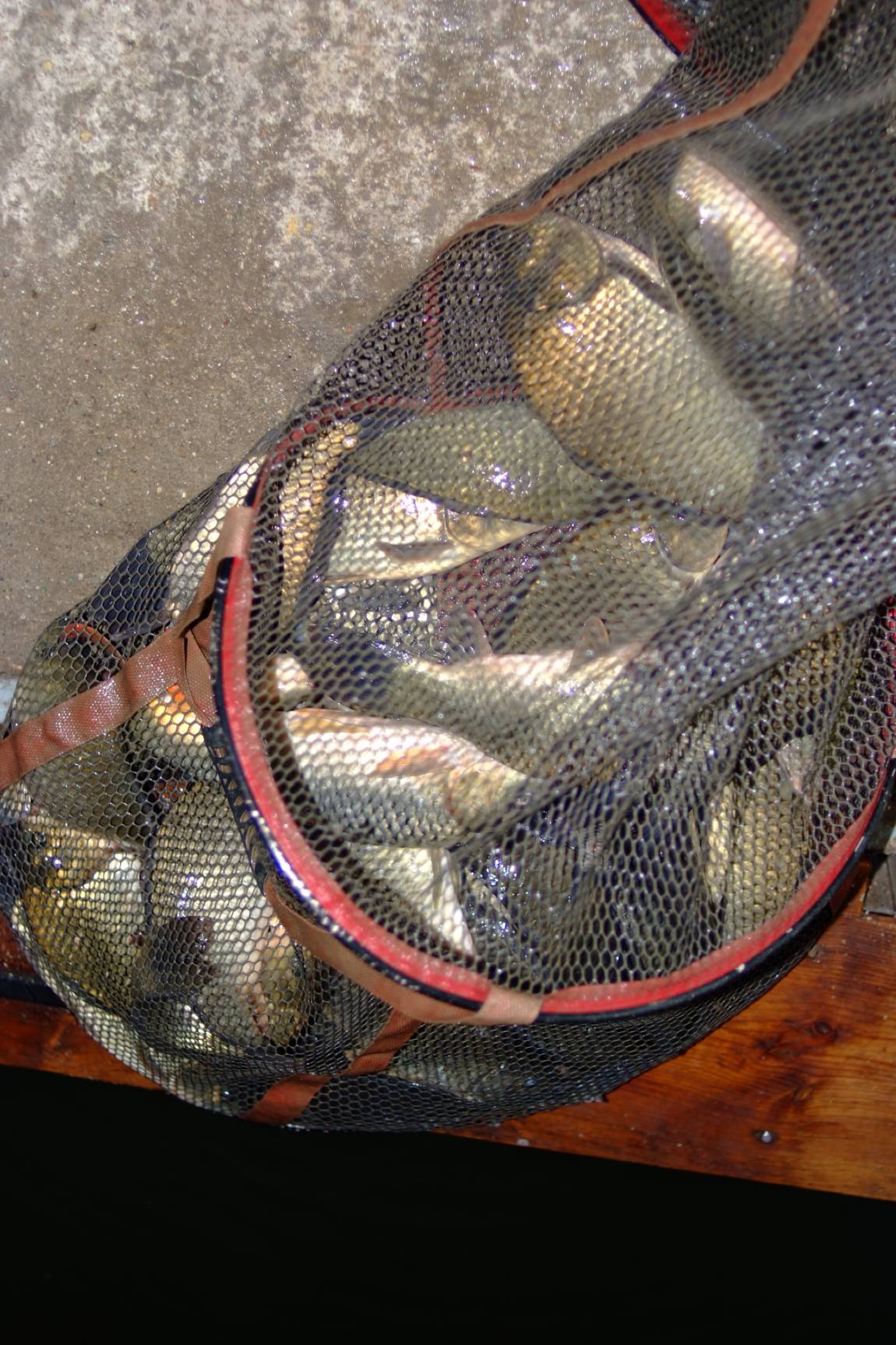 DSCF5943.JPG