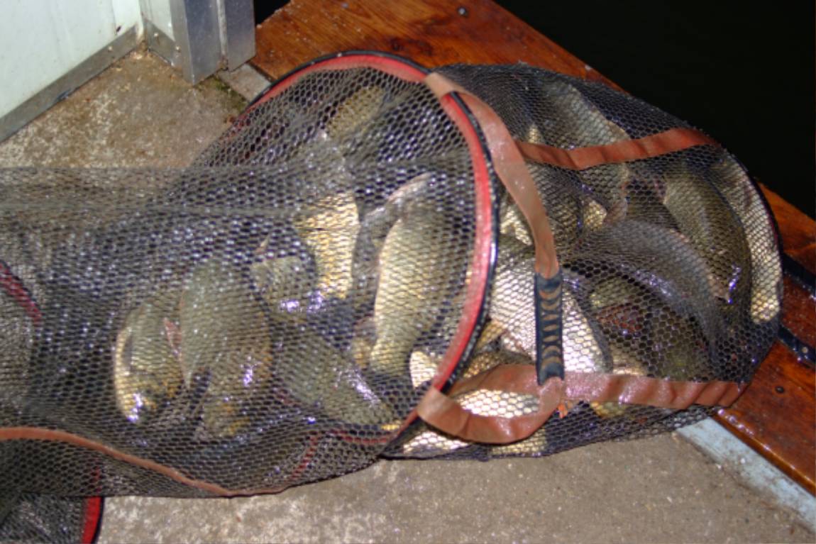 DSCF5942.JPG